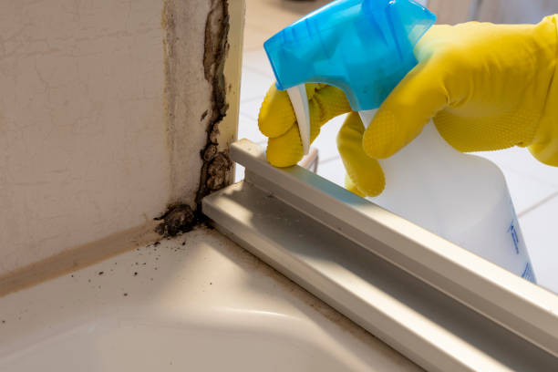 Best Mold Testing  in Wendell, NC
